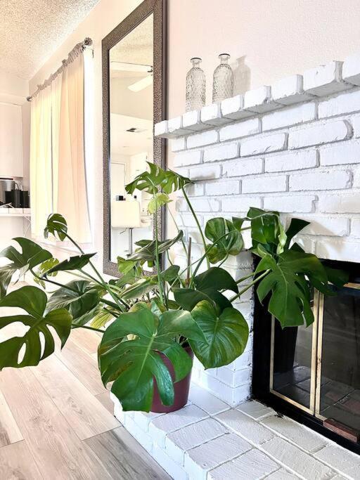 Spacious 3B 2Ba Home With High Ceilings And Large Patio 랭커스터 외부 사진
